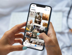 Cara Mudah Mengembalikan Foto yang Terhapus di iPhone