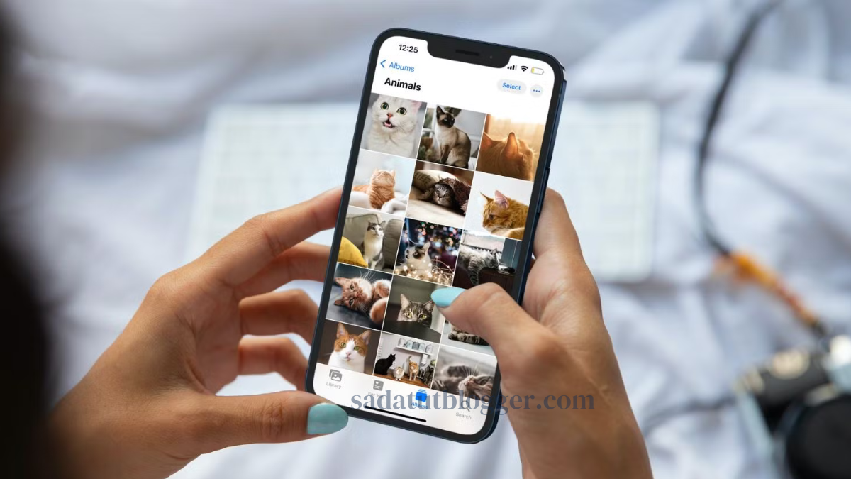 Cara Mudah Mengembalikan Foto yang Terhapus di iPhone